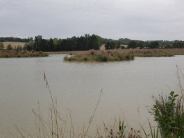 ORCHARD PLACE FISHING COMPLEX 2011
